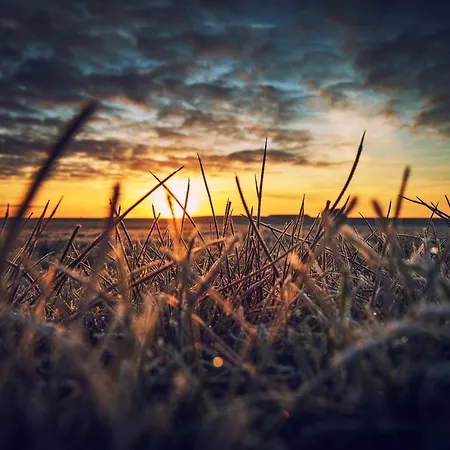 Huus Unner Lee 1 Appartamento *