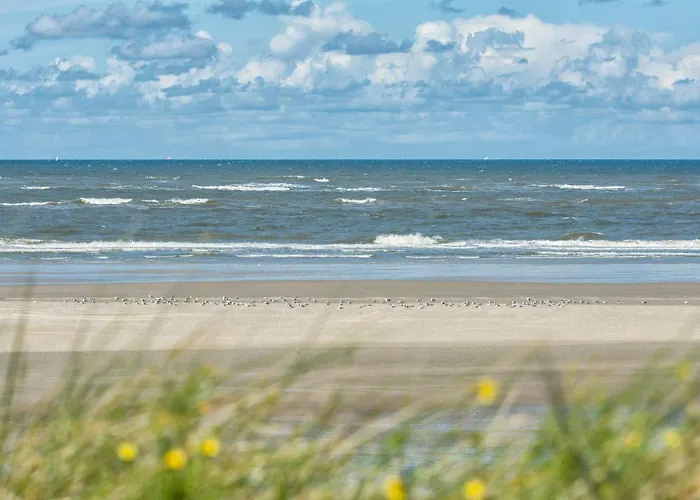 Huus Unner Lee 1 Апартаменты Шпикерог